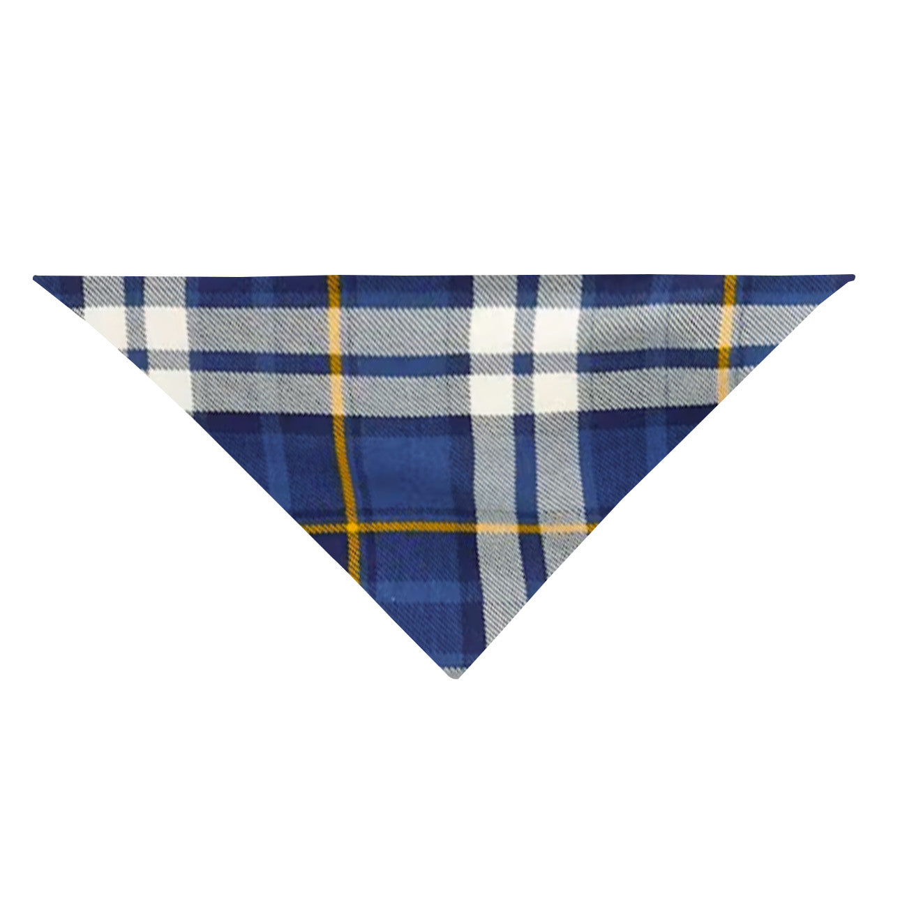 Christmas Family Matching Pajamas-Blue Raglan Top Blue Plaid Pants Pjs Set with Gnome and "Have A Holly Jolly Christmas" Print