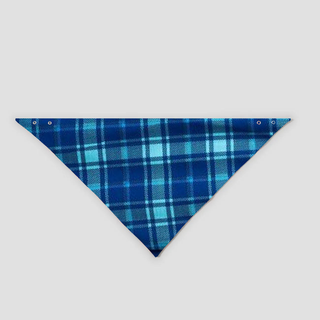 Christmas We are Family 2025 Letter Print Blue Long Sleeve Top With Blue Plaid Family Matching Pajamas